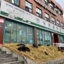 한성동물병원 이미지