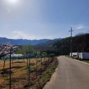 위례성로 이미지