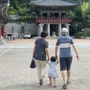 버찌 +591 / 정광사