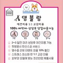 댕블랑 이미지