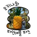 오키나와 파인애플 파크 후기｜입장권 할인부터 아기와 다녀온 솔직 후기
