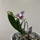 제일한의원 이미지