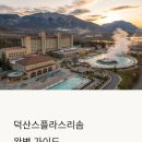 교촌치킨 온천점 | 덕산스플라스리솜 완벽 비교 리뷰 –모두 만족하는 온천 워터파크 리조트