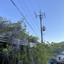 참샘산방 이미지