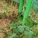 예나농장 이미지