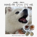 로니펫 | ‘페페로니펫 진짜 시리즈 오메가3 소고기 &amp; 연어’ 후기