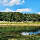 생초시장 이미지