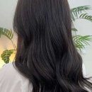 코코댄디