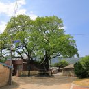 대1리 경로당 이미지