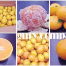 규리 농장 이미지