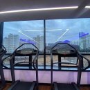 지와이 피티 이미지