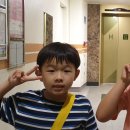 아이나무태권도 이미지