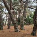 행정사사무소 세종 이미지