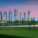 곰's 골프 이미지