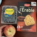 미지어학원 | 🇨🇦토론토 어학연수 01