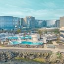 홍시스테이 이미지