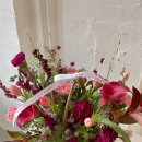 팰리스수입상품