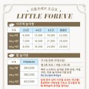 리틀 포레브 이미지