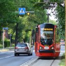 신안약국 이미지