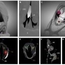 고음농장 이미지