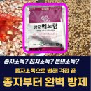 (주)삼공사 | 살균제&gt;&gt; 종자 소독 필수템, &#34;삼공베노람&#34; 사용법 효과 총정리! 생육과 수확량 안정화 전략!