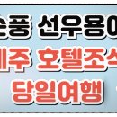 선우렌트카 | 제주 해비치 호텔에서 조식 먹고 렌트카 타고, 순풍선우용여의 찐 힐링 코스