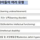 느린학습자의 이해 이미지