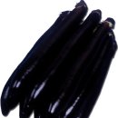 진양원예사 이미지