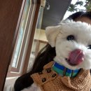 몬도커피츄러스부천 이미지