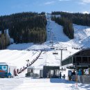 B/F Dog Talk Talk 이미지