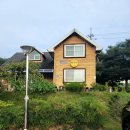 달콤한 민들레의 속 이미지