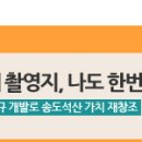 비에스관광개발주