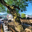 봉양3길 이미지