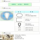 여의도여자고등학교 이미지