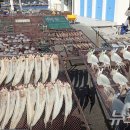 칠암물양장 이미지