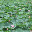 곡성-009 이미지