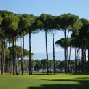 골프킹 아카데미 이미지