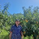 양화농장 이미지