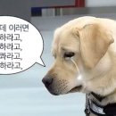 브랜딩로그