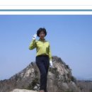 사계절자연산약초
