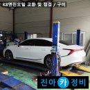 구미라지에타 티스토리