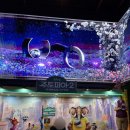 주)리빙유통 | 용산 cgv 주토피아2 :: 용산아이파크몰 도파민스테이션 주토피아 팝업