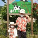 (상하)개화목장 이미지