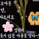 인생도 한송이 꽃이랍니다 이미지