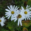 버드내팜 이미지