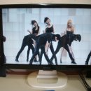 테라글로벌