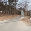 달비골에서 앞산과 청룡산을 한바퀴 돌다
