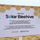 영국1 태양광발전소 이미지