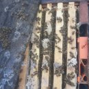 완주양봉원 이미지