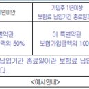 [통합간편]뇌출혈 진단비 특별약관과 [통합간편](체증형,완납시2배)뇌출혈 진단비 특별약관의 비교 이미지